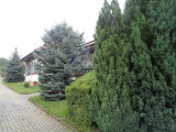 A/I/2024/0068 - 