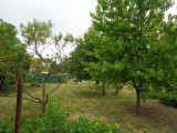 A/I/2025/0036 - 