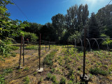 A/I/2025/0044 - 
