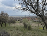 A/I/2026/0043 - 