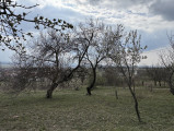 A/I/2026/0043 - 