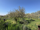 A/I/2026/0060 - 