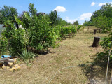A/I/2026/0084 - 