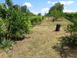 A/I/2026/0084 - 