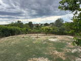 A/I/2026/0101 - 